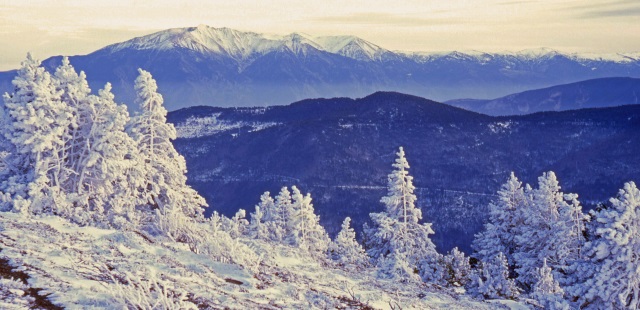 Le Canigou